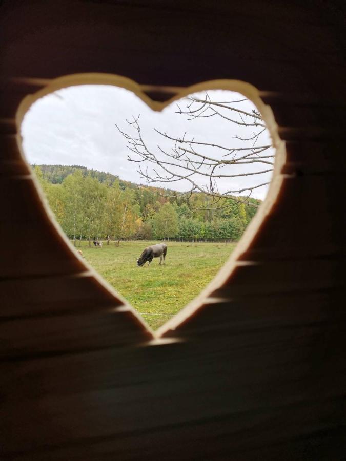 Zazitkovy Pobyt Uprostred Prirody Zelezny Brod Eksteriør billede